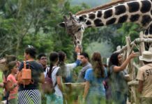 Un zoológico fundado por narcos hondureños languidece por falta de recursos