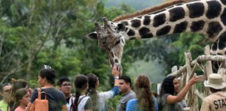 Un zoológico fundado por narcos hondureños languidece por falta de recursos