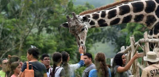 Un zoológico fundado por narcos hondureños languidece por falta de recursos