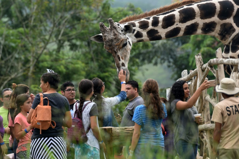 Un zoológico fundado por narcos hondureños languidece por falta de recursos