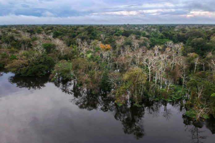 Brasil desiste de organizar cumbre del clima tras petición de Bolosonaro Brasil desiste de organizar cumbre del clima tras petición de Bolosonaro