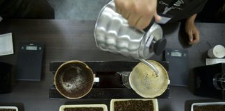 Honduras y Colombia urgen a Iberoamérica a exigir precios justos del café