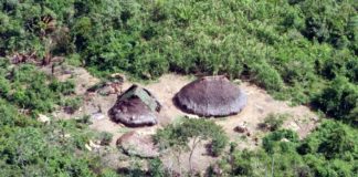 La mayor cantidad de pueblos nativos aislados viven en la Amazonía