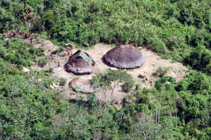 La mayor cantidad de pueblos nativos aislados viven en la Amazonía