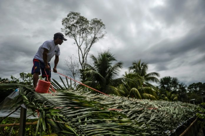 Con viejas recetas naturales, un español reforesta la Amazonía peruana