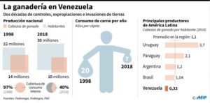 El riesgoso oficio de criar ganado en Venezuela -Graph