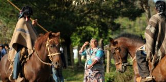 Piñera enviará proyecto que reconoce a pueblos indígenas en Constitución de Chile