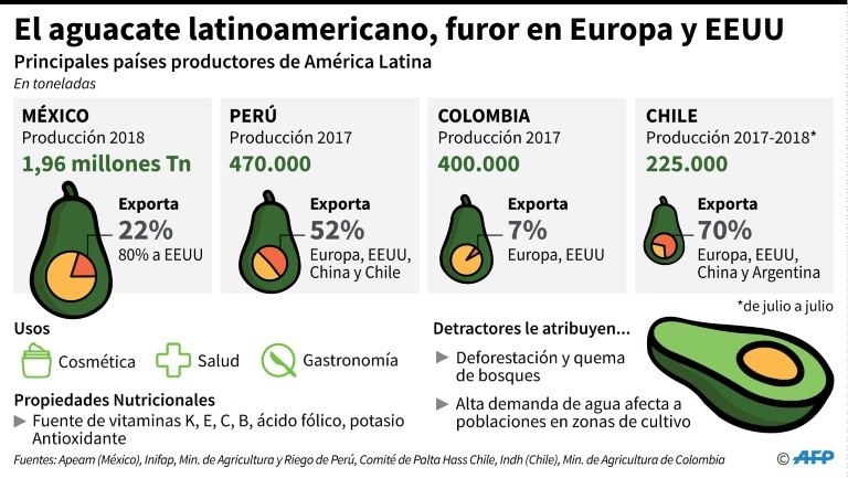 El furor del aguacate, "oro verde" de América latina, preocupa en EEUU y Europa