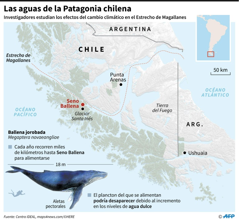 La Patagonia chilena, laboratorio natural para estudio del cambio climático