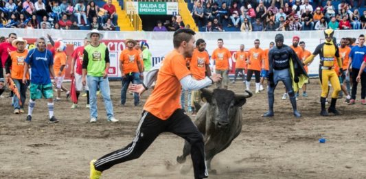 Toros "a la tica", la polémica fiesta de fin de año en Costa Rica