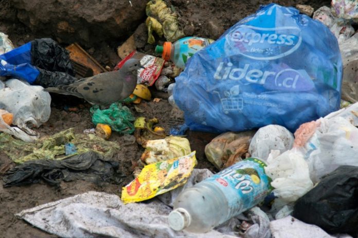 Entra en vigencia en Chile prohibición del uso de bolsas plásticas