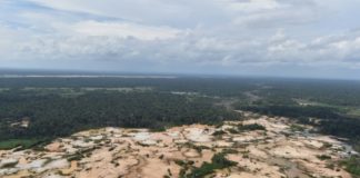 Perú quiere que sus indígenas sean los primeros vigilantes de los bosques