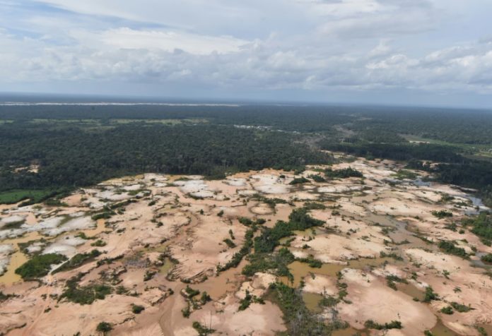 Perú quiere que sus indígenas sean los primeros vigilantes de los bosques