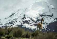 Sed en las alturas - la angustia de los indígenas por el agua en Ecuador