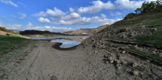 Sequía somete a Centroamérica a plagas, pérdida de cosechas y falta de agua potable