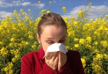 Señales de que su hijo puede tener alergias estacionales