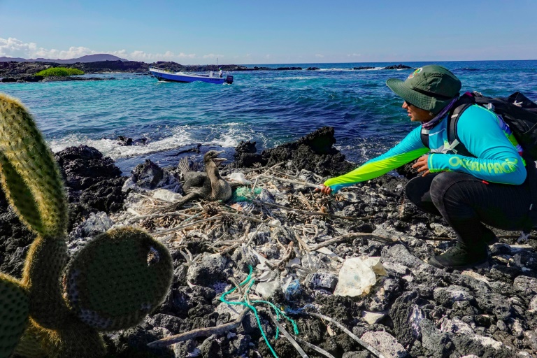 Un monstruo en el paraíso - el plástico amenaza la vida en Galápagos
