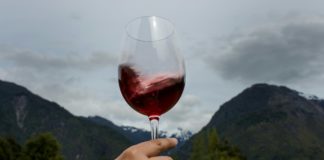 Chile impulsa sus vinos premium para aumentar sus precios en el mercado mundial