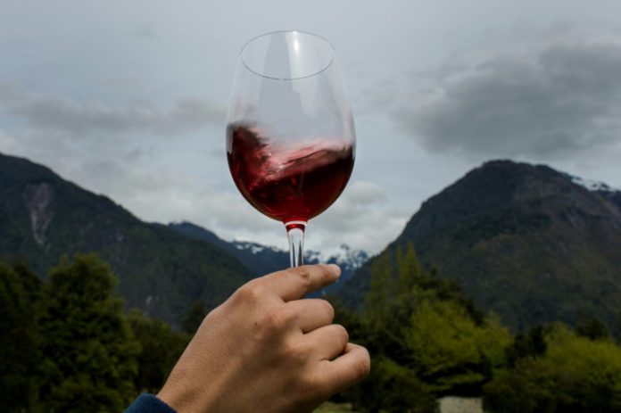 Chile impulsa sus vinos premium para aumentar sus precios en el mercado mundial