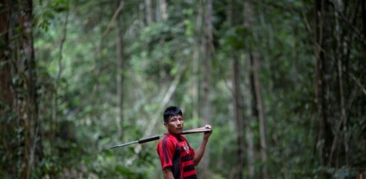 Cuando la deforestación transforma la Amazonía en un polvorín