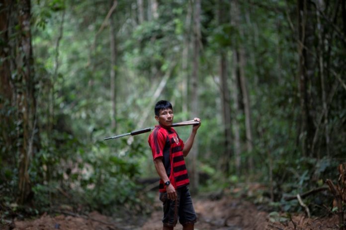 Cuando la deforestación transforma la Amazonía en un polvorín