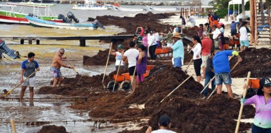 El sargazo, plaga que amenaza la onírica belleza del Caribe mexicano