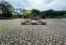 Lagos de parques capitalinos sufren por falta de lluvias en Costa Rica