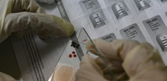 Referente investigativo de la malaria en Venezuela languidece en plena epidemia