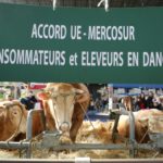 El malestar aumenta en la UE sobre acuerdo comercial con Mercosur