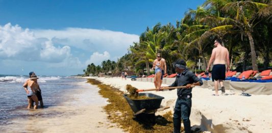 México construirá barcos especiales para eliminar sargazo de sus playas