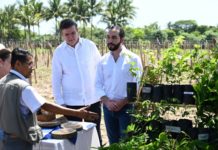 El Salvador y México lanzan un plan agroforestal para atenuar la migración