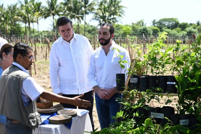 El Salvador y México lanzan un plan agroforestal para atenuar la migración