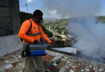 Hondureños alarmados combaten mosquito del dengue que deja decenas de muertos