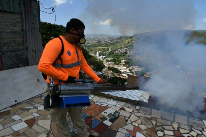 Hondureños alarmados combaten mosquito del dengue que deja decenas de muertos