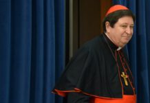 Muchas denuncias de abuso sexual contra sacerdotes 'no son verdaderas', dice un cardenal asesor del papa