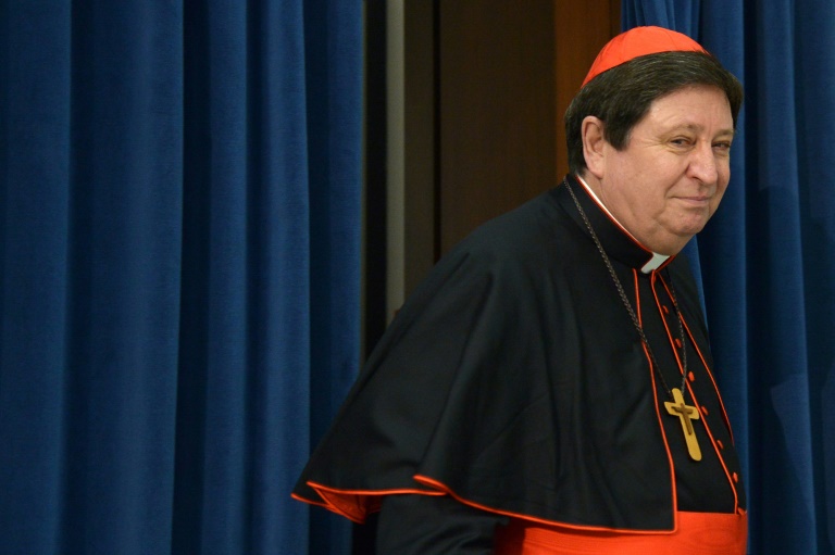 Muchas denuncias de abuso sexual contra sacerdotes 'no son verdaderas', dice un cardenal asesor del papa