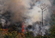 Bolsonaro autoriza envío de militares contra incendios en Amazonía
