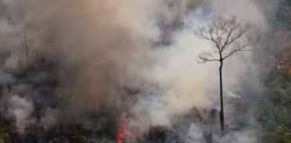 Bolsonaro autoriza envío de militares contra incendios en Amazonía