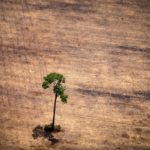 Brasil, un gigante agrícola que tropieza con la protección ambiental