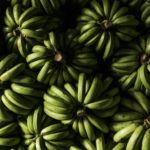 Bulgaria incauta cocaína escondida en un cargamento de plátanos de Ecuador