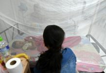 El dengue causó 101 muertos este año en Honduras