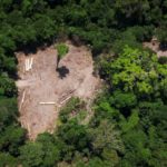 Exsupervisor de deforestación de Brasil urge a los científicos a 'no permanecer callados'