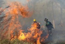 Incendios en Bolivia por quema de pastizales se acercan al Paraguay