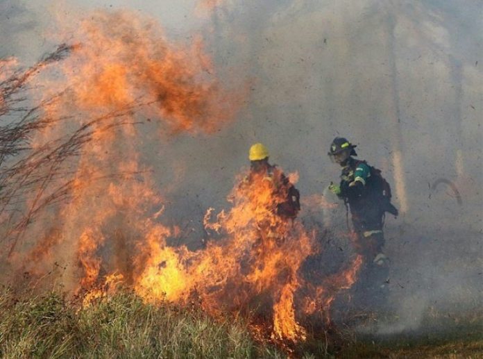 Incendios en Bolivia por quema de pastizales se acercan al Paraguay