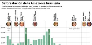 La Amazonía bajo presión de sequías, especulación y políticas públicas