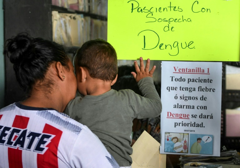 La OPS alerta sobre incremento notable de casos de dengue en Latinoamérica
