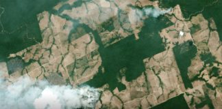 Por qué arde una parte de la Amazonía