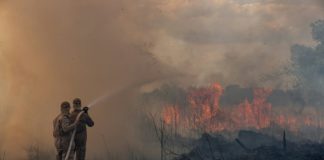 Ayuda del G7 por incendios en Brasil excluye la aportación de Francia