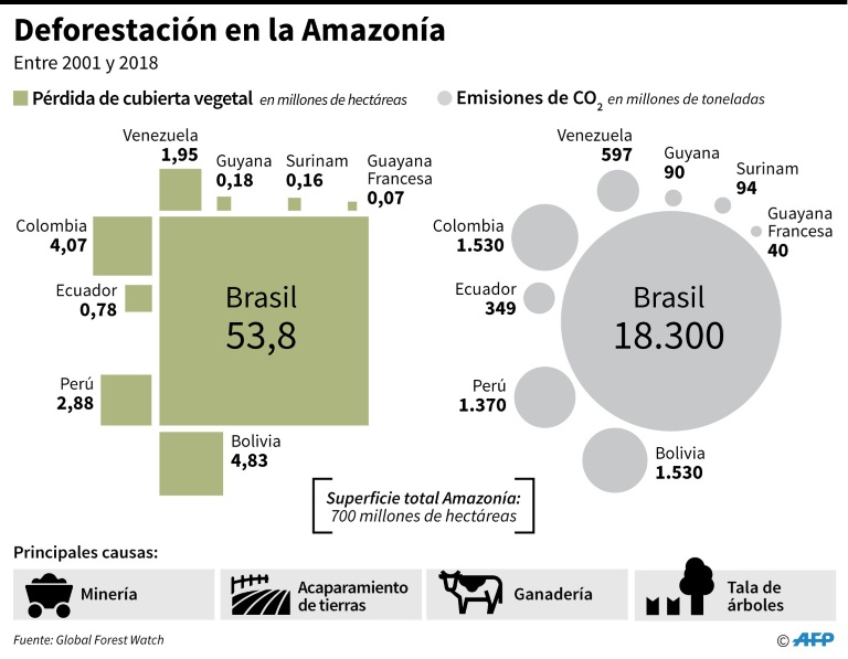 Pérdida de cubierta vegetal y emisiones de CO2 en los países que comparten el territorio de la Amazonía