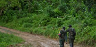 FARC pide a antiguas tropas guerrilleras no retormar las armas